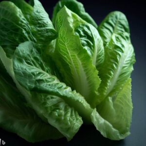 baby rocket leaves benefits