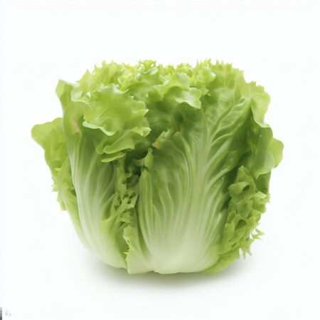 grand rapids lettuce