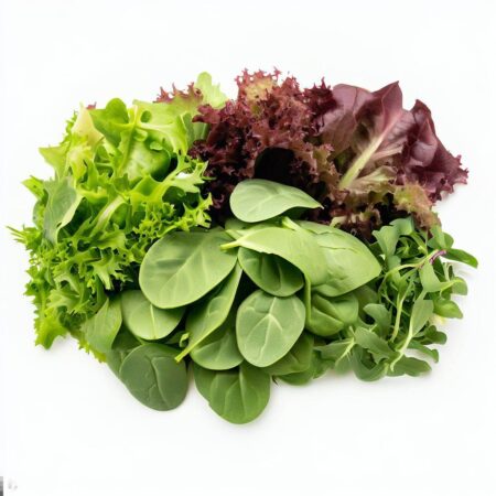 Guarden Melody Lettuce Mix by Blue Lettuce