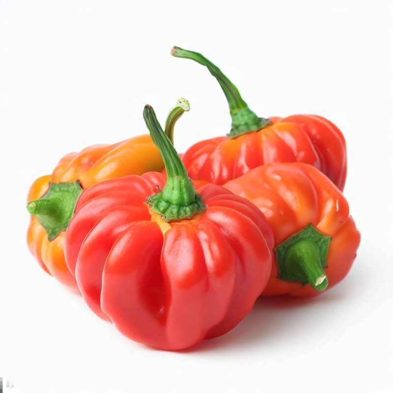 Scotch Bonnet Chillies by blue lettuce