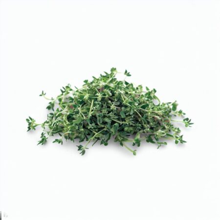 Fresh Thyme by Blue Lettuce